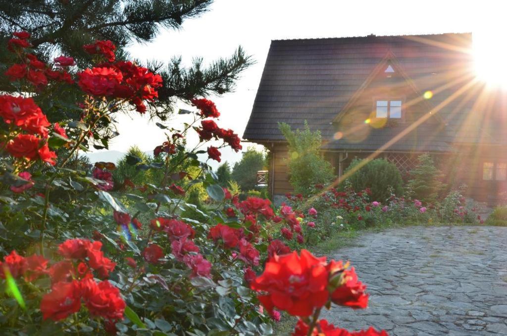 Góralska Ostoja Villa Pcim Exterior foto